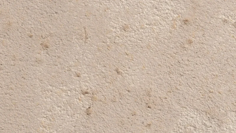 Claywall Chamomille